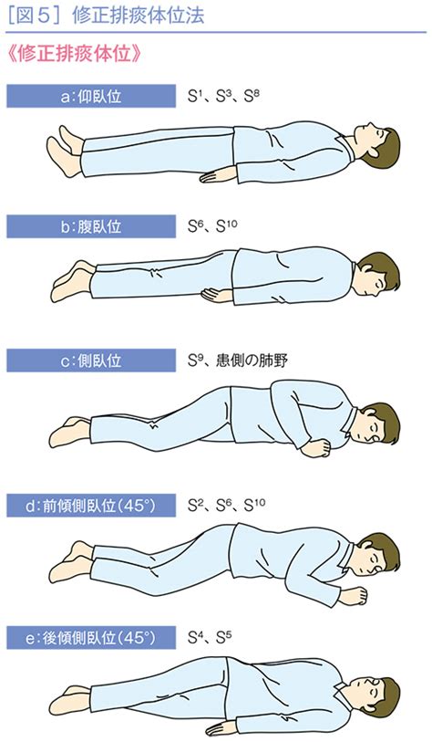 左前傾側臥位|臥位姿勢の種類 7種類の体位の名前と特徴をイラスト解説 